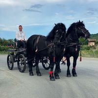 bogdanstroia01