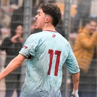 luiginardella_11