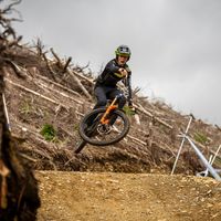 ollie_carne