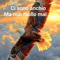 suono originale