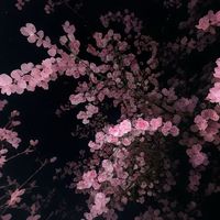 unknown3.906