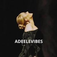 adeelevibesfan