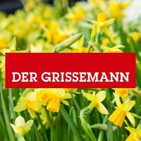 dergrissemann