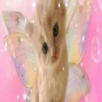 original sound - iusedtoeditbtw