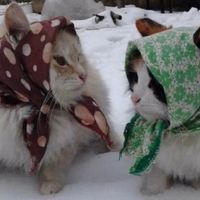 y0ur_easterneuropean.gir