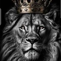 kingcharlesobet