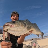 argy_fishing
