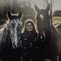 rayvanshorses
