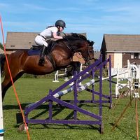 leah_.equine