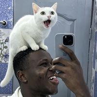 traore_nakamura_0