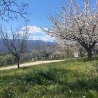 alize_2312