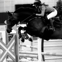 ziede.eq