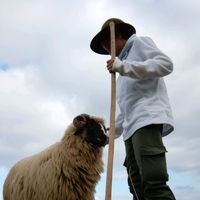 animale_aogro_oi