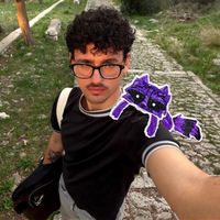 ljubicastirakun