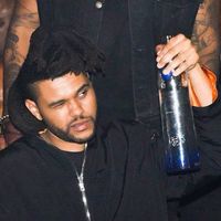 kane_xo707