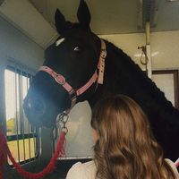 eloisewalsh.equestrian