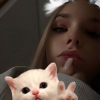 ido_notcar3