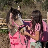 princesa_and_co
