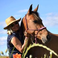 laetiboubou34