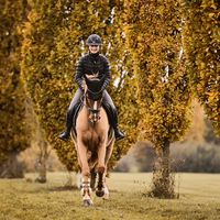 vaulting.riding.and.more