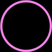c.itpdz