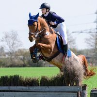 sophie__eventing