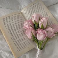 laura.bookgirl