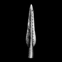 Cool dark forest sound