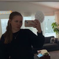 annimerilainen_