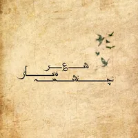 original sound - basir.a.sharifi