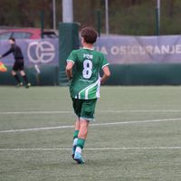 leonardo_pizirr