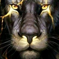 malcomdouglas5officiel