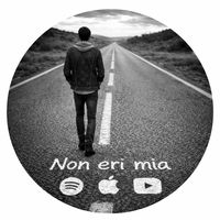 il.viaggiatore5