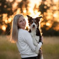 border.collie.barbie