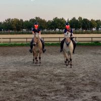 equi._.annemijnxx