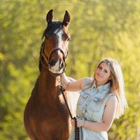 cbe_equestrian