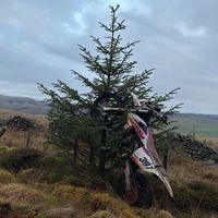 darrenlinton397