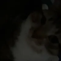 original sound - pemz.93