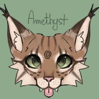 amethyst.claws