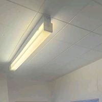 original sound