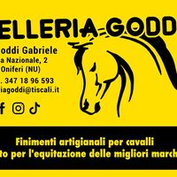 gabrielegoddi6
