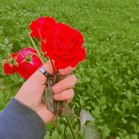 original sound - am_writes_4981