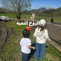 original sound - omkhaledd15