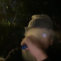 47__ale_