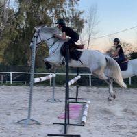 tatisport3