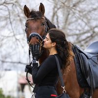 ire.dressage