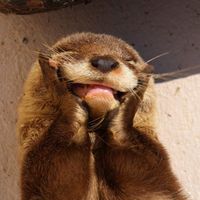 Этот этап в моей жизни