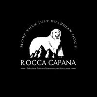 icucciolidiroccacapana