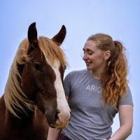 blhorsemanship