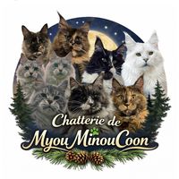 chatteriemyouminoucoon